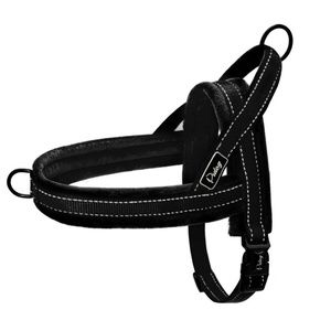 No Pull Pet Dog Harness Leash Reflective Soft Plus